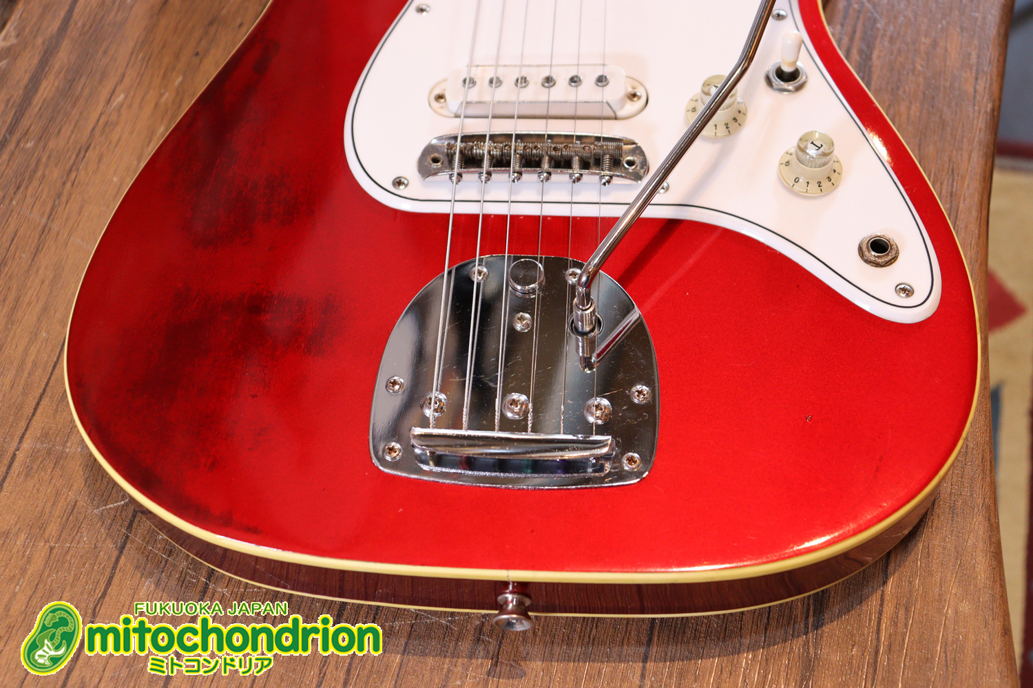 マッチングヘッドのエルク、ワイルドキャットです！