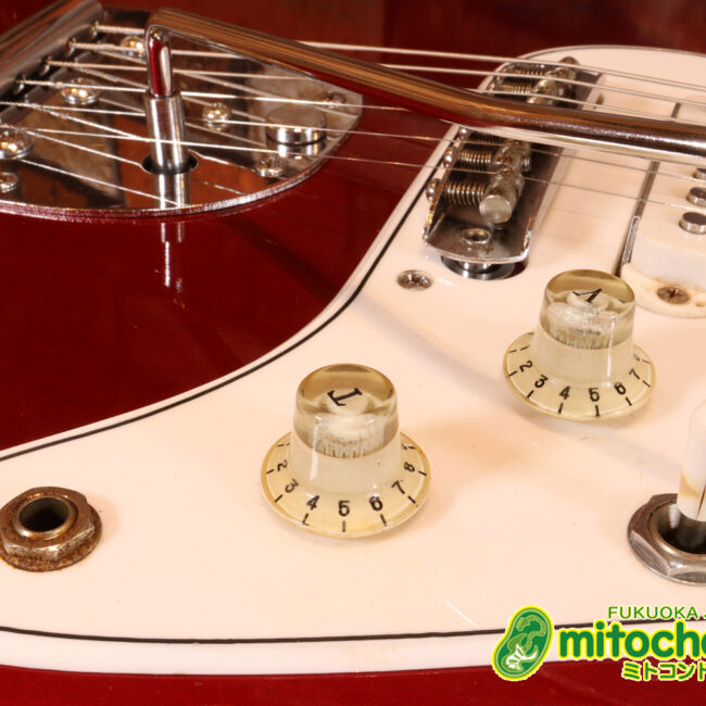 マッチングヘッドのエルク、ワイルドキャットです！