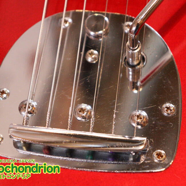 マッチングヘッドのエルク、ワイルドキャットです！