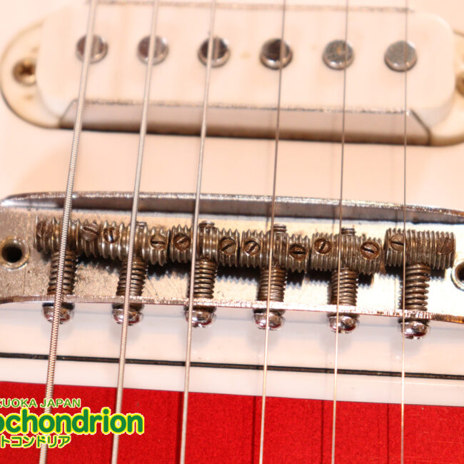 マッチングヘッドのエルク、ワイルドキャットです！