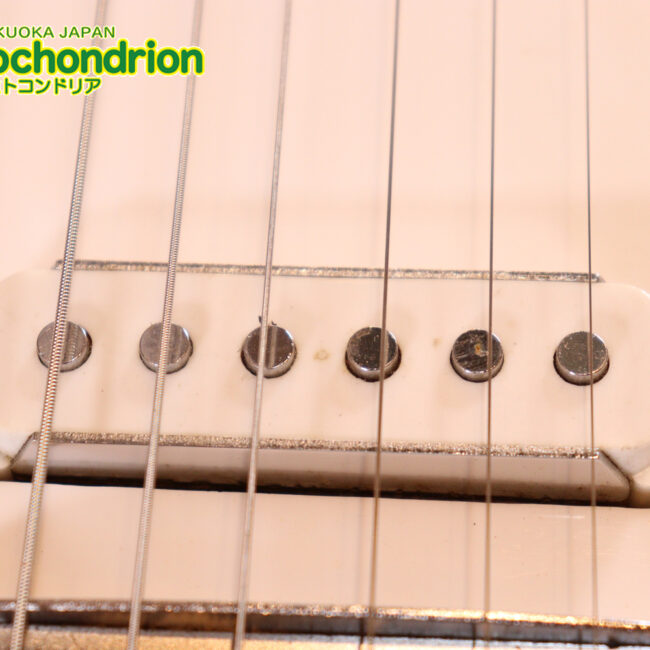 マッチングヘッドのエルク、ワイルドキャットです！