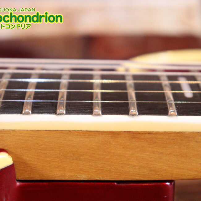 マッチングヘッドのエルク、ワイルドキャットです！