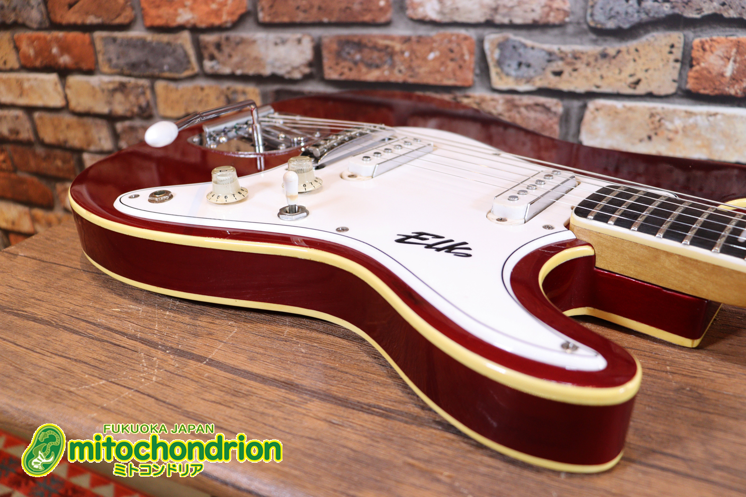 マッチングヘッドのエルク、ワイルドキャットです！