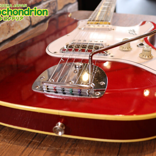 マッチングヘッドのエルク、ワイルドキャットです！