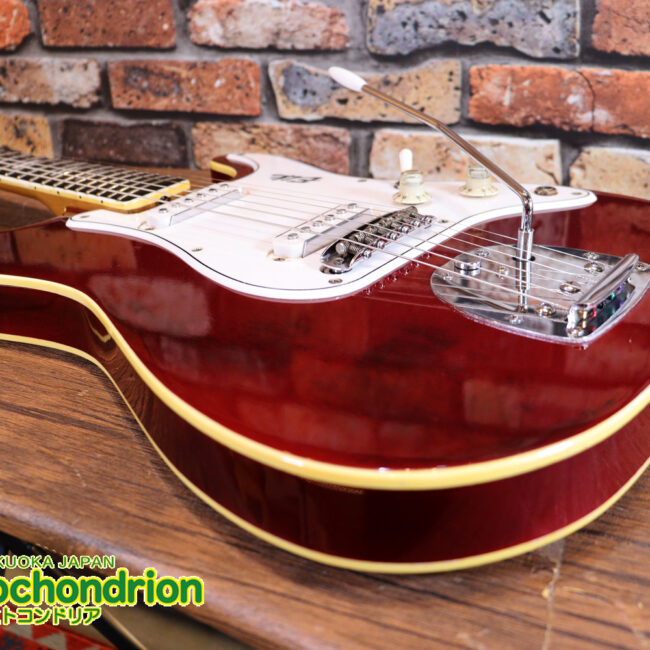 マッチングヘッドのエルク、ワイルドキャットです！