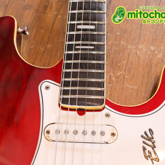 マッチングヘッドのエルク、ワイルドキャットです！