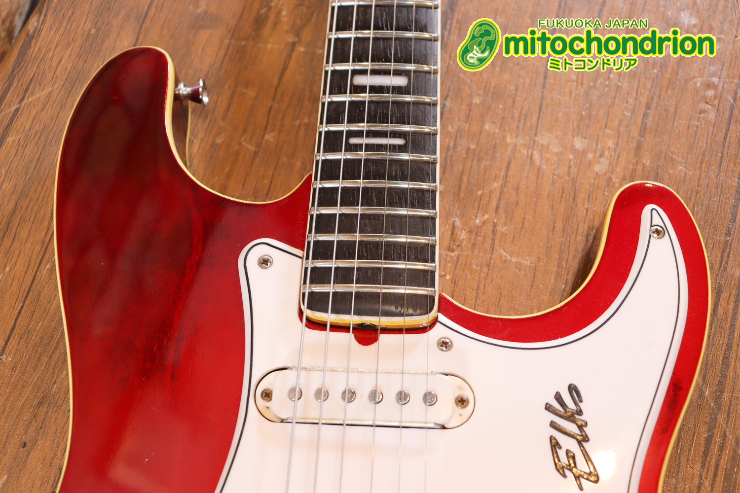 マッチングヘッドのエルク、ワイルドキャットです！