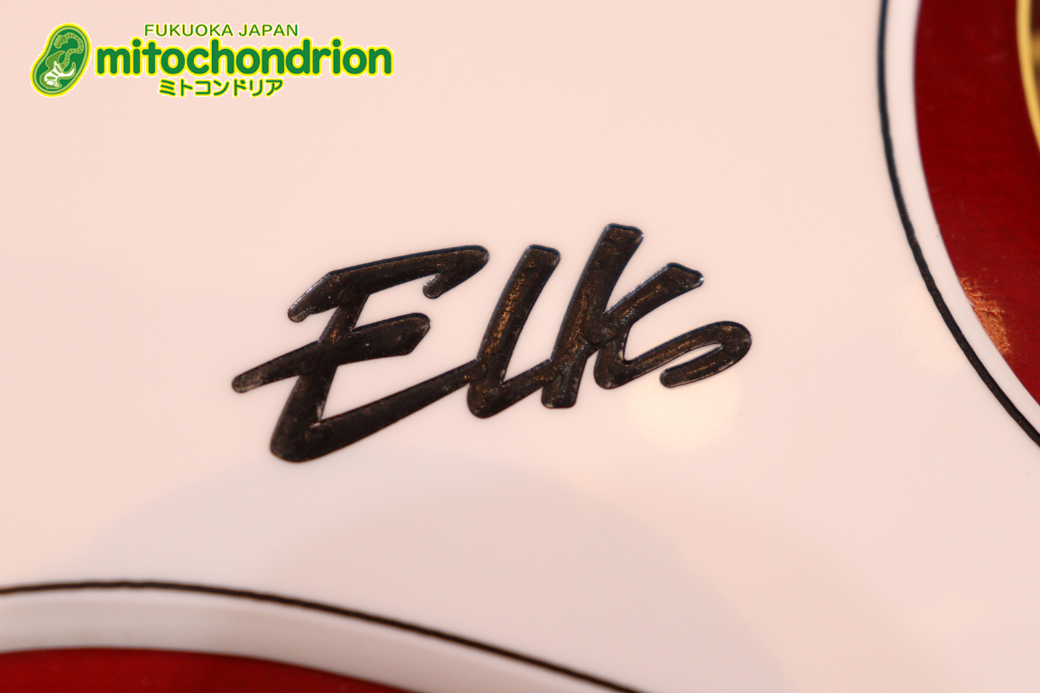 マッチングヘッドのエルク、ワイルドキャットです！