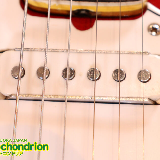 マッチングヘッドのエルク、ワイルドキャットです！