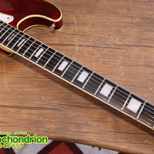 マッチングヘッドのエルク、ワイルドキャットです！