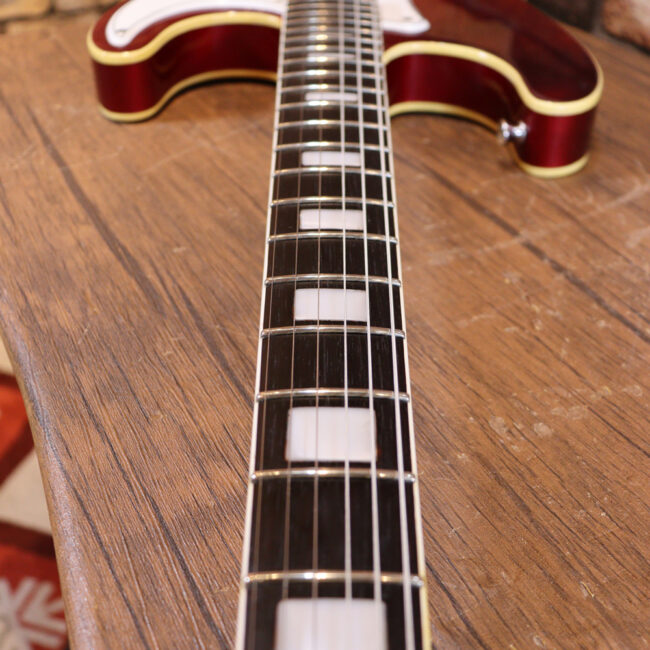 マッチングヘッドのエルク、ワイルドキャットです！