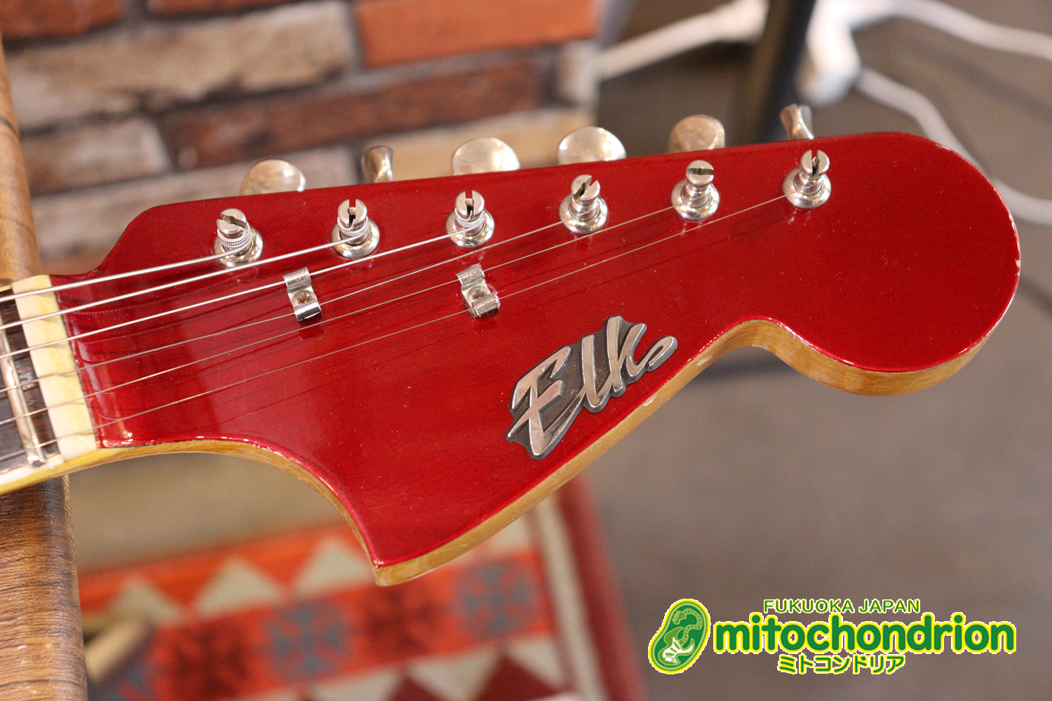 マッチングヘッドのエルク、ワイルドキャットです！