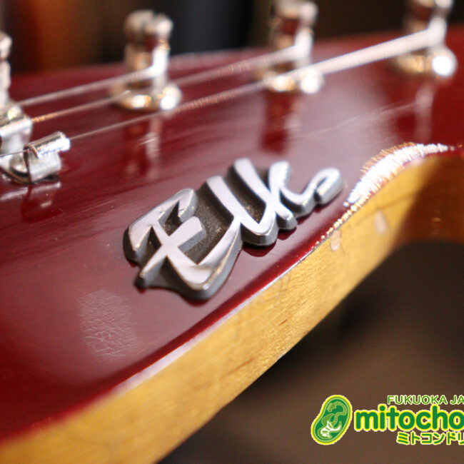 マッチングヘッドのエルク、ワイルドキャットです！