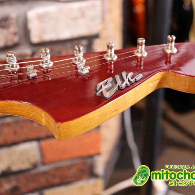 マッチングヘッドのエルク、ワイルドキャットです！