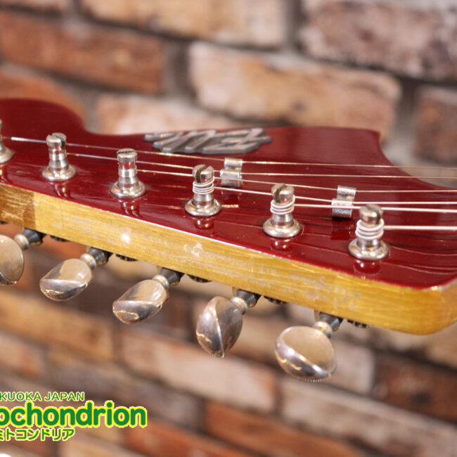 マッチングヘッドのエルク、ワイルドキャットです！