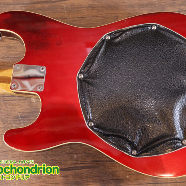 マッチングヘッドのエルク、ワイルドキャットです！