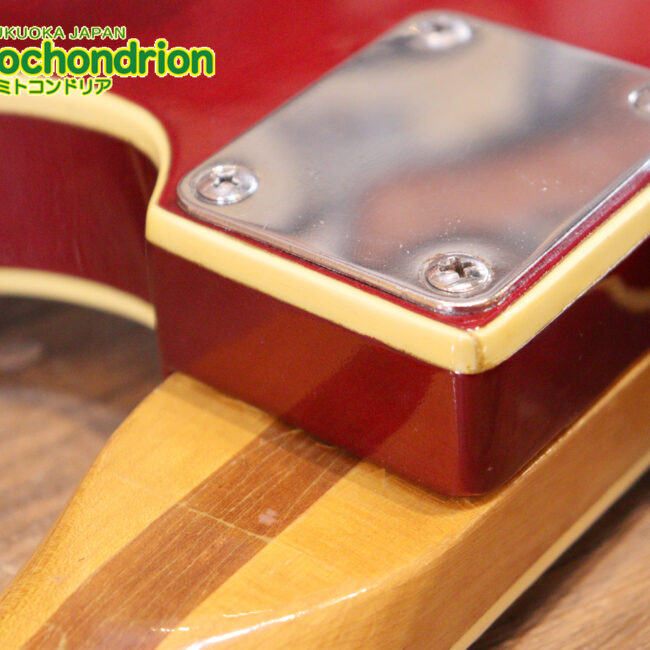 マッチングヘッドのエルク、ワイルドキャットです！