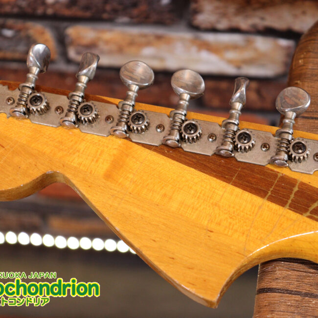 マッチングヘッドのエルク、ワイルドキャットです！