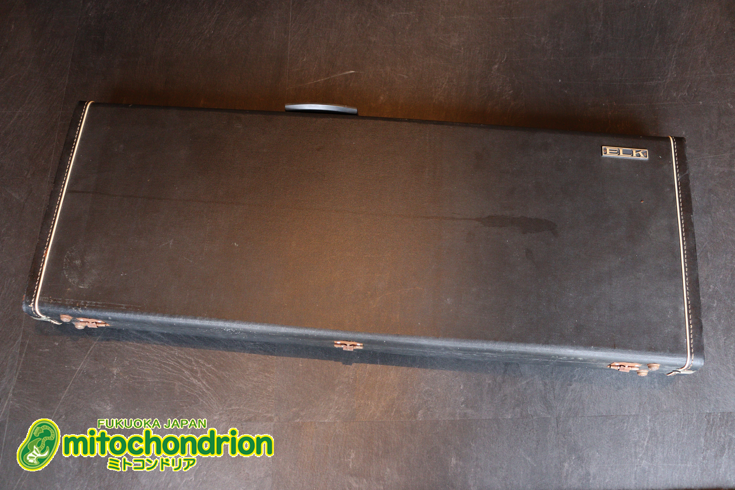 マッチングヘッドのエルク、ワイルドキャットです！