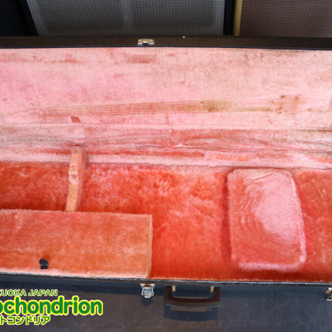 マッチングヘッドのエルク、ワイルドキャットです！