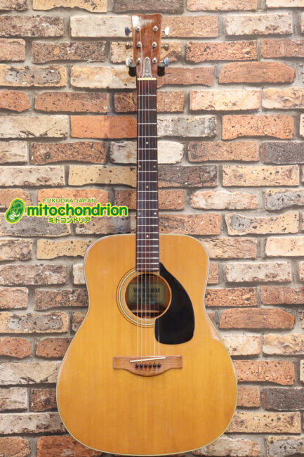 レアなライトグリーンラベルのFG-180です！！