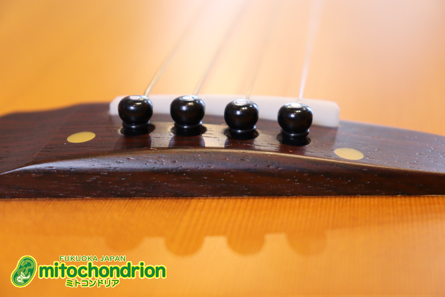 人差し指1本で簡単に弾ける、ヤイリギターとBEGINが誕生させた楽器です！