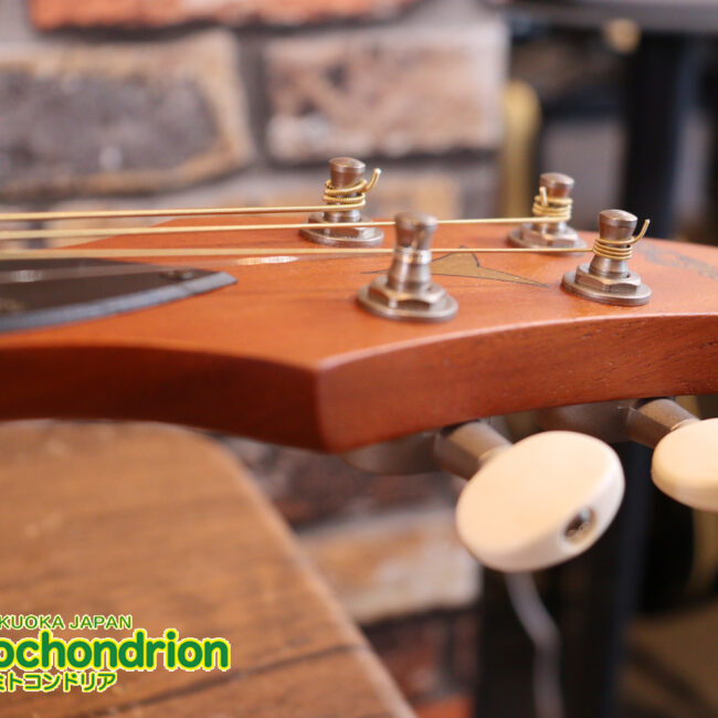 人差し指1本で簡単に弾ける、ヤイリギターとBEGINが誕生させた楽器です！