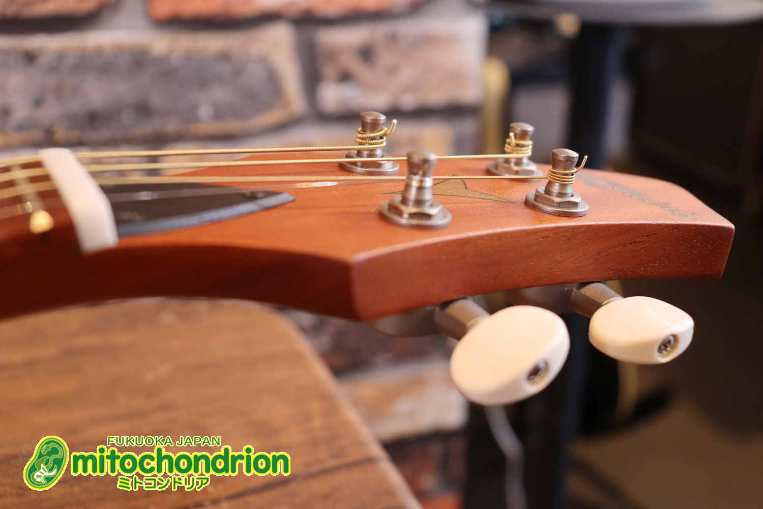 人差し指1本で簡単に弾ける、ヤイリギターとBEGINが誕生させた楽器です！