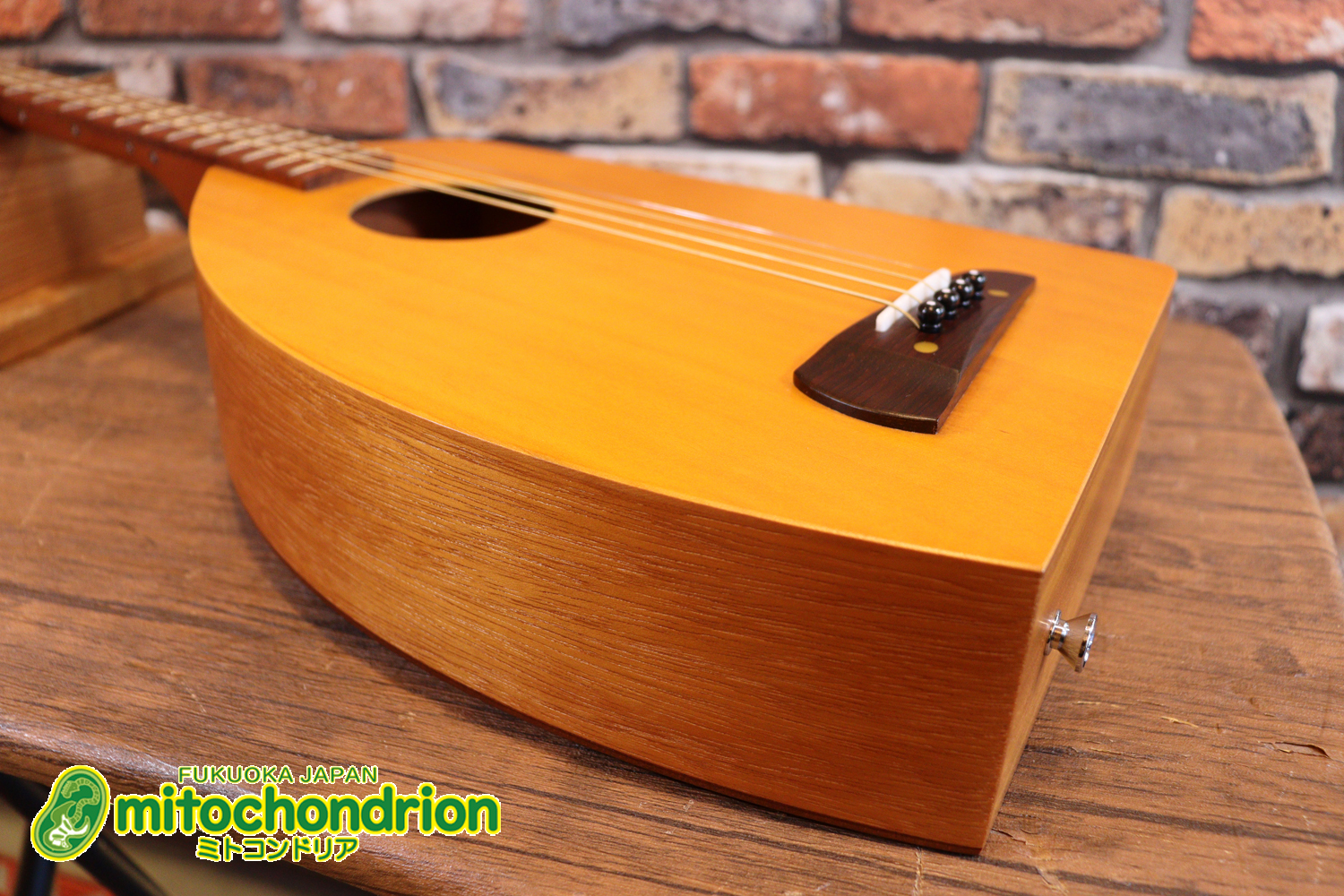 人差し指1本で簡単に弾ける、ヤイリギターとBEGINが誕生させた楽器です！