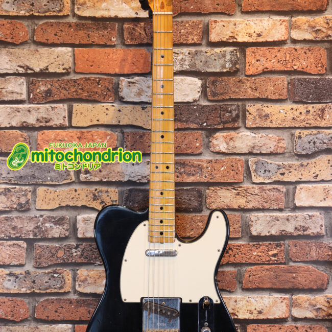 オリジナル・ブラックのテレキャスター！