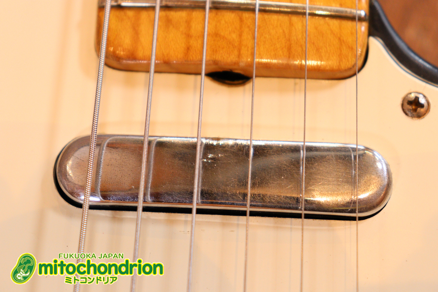 オリジナル・ブラックのテレキャスター！