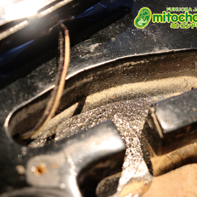 オリジナル・ブラックのテレキャスター！