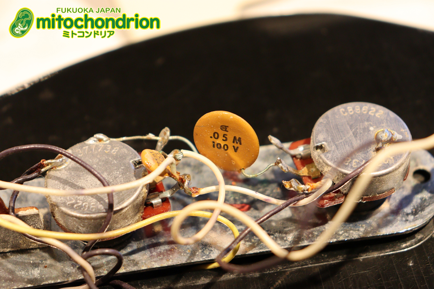 オリジナル・ブラックのテレキャスター！