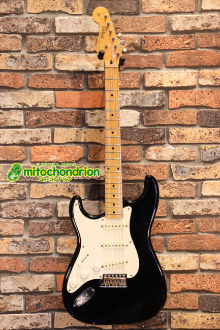 激レア！レフティーのTokai TSTです！