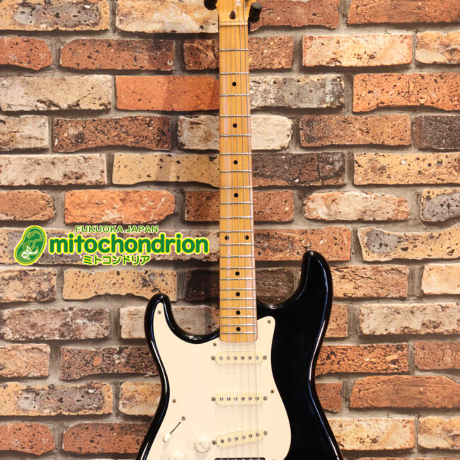 激レア！レフティーのTokai TSTです！