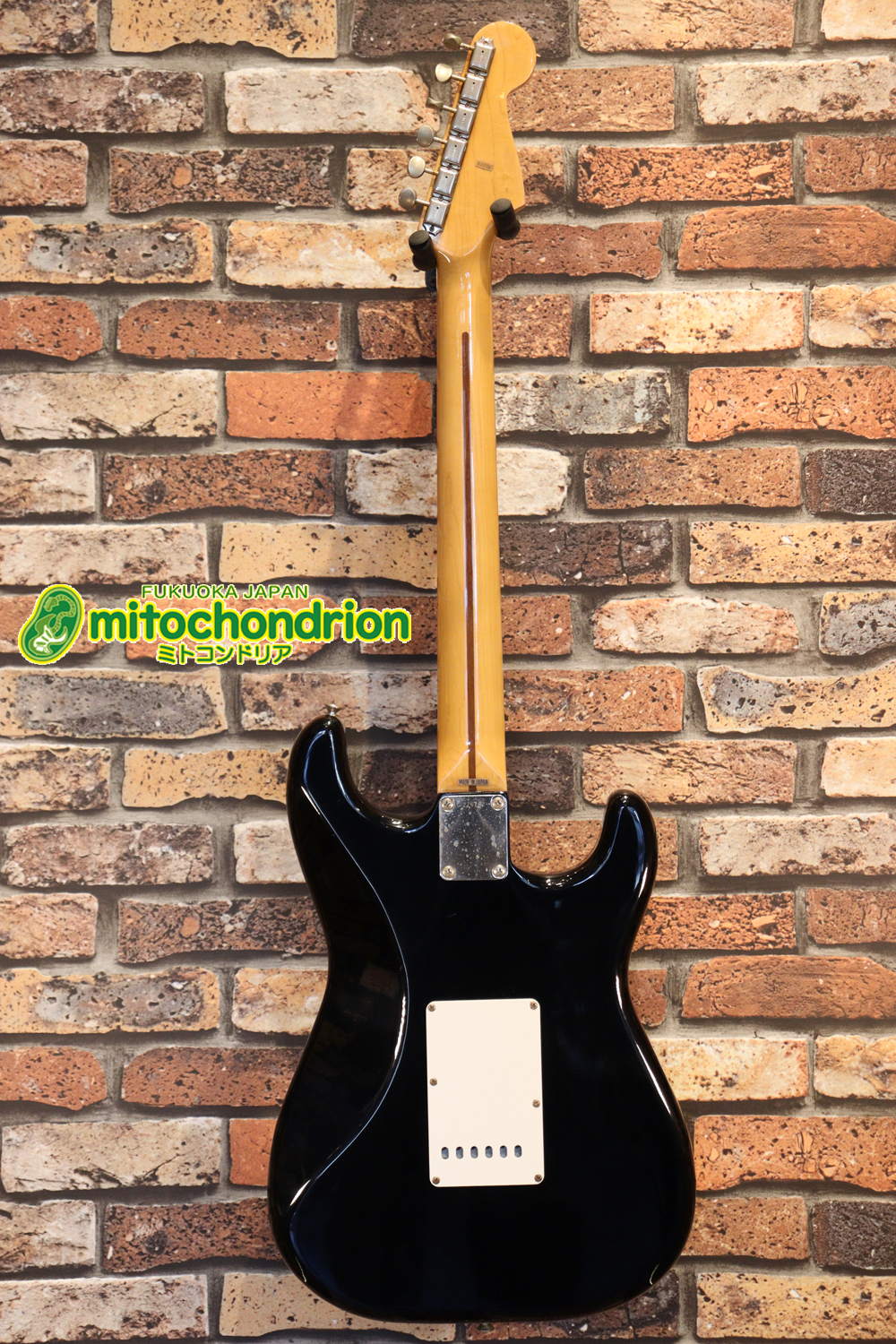 激レア！レフティーのTokai TSTです！