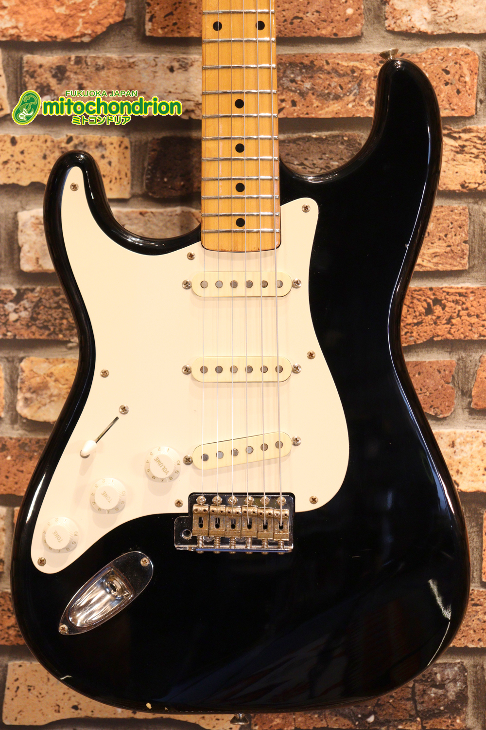 激レア！レフティーのTokai TSTです！