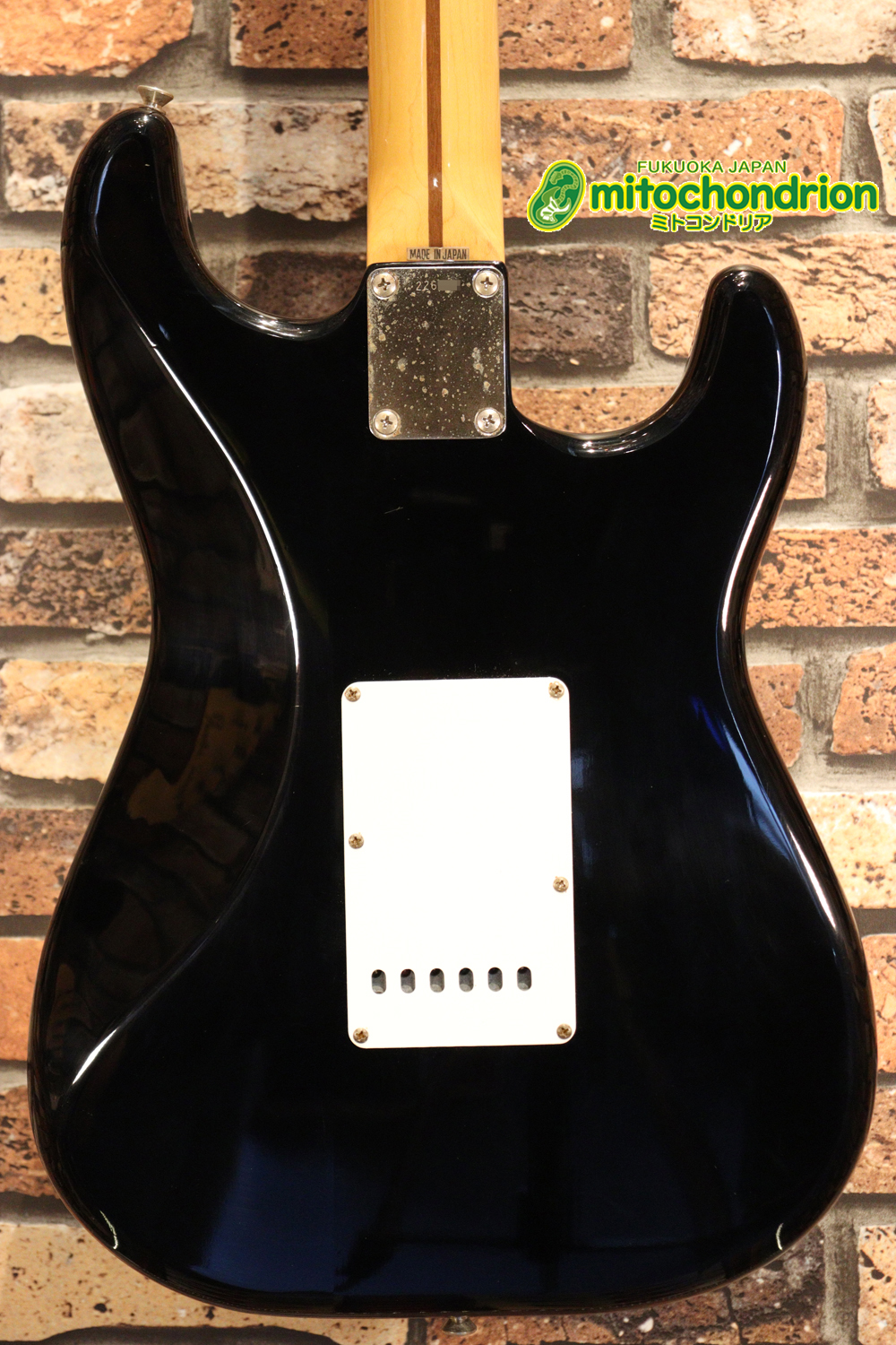 激レア！レフティーのTokai TSTです！