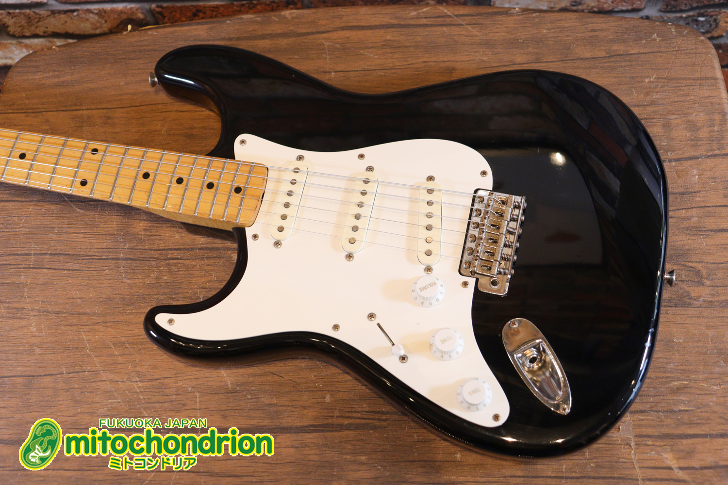 激レア！レフティーのTokai TSTです！