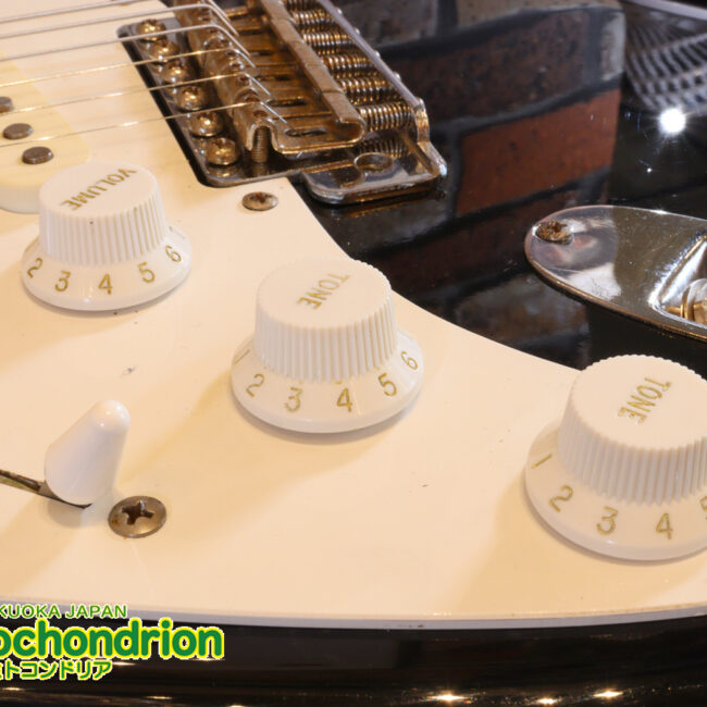 激レア！レフティーのTokai TSTです！