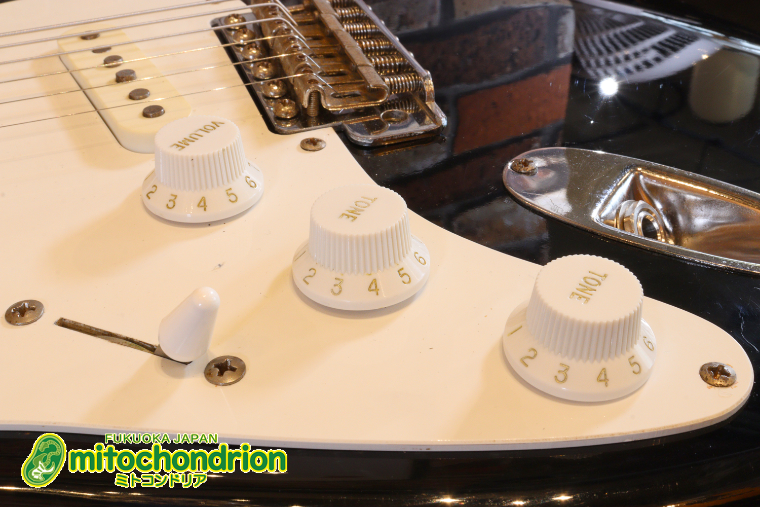 激レア！レフティーのTokai TSTです！