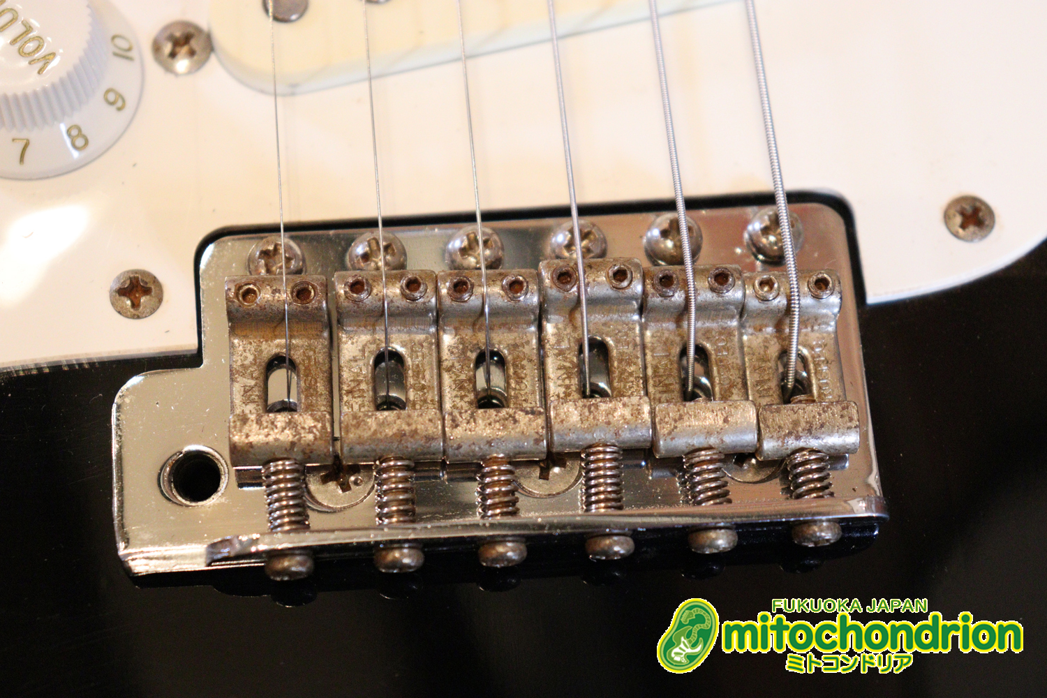 激レア！レフティーのTokai TSTです！