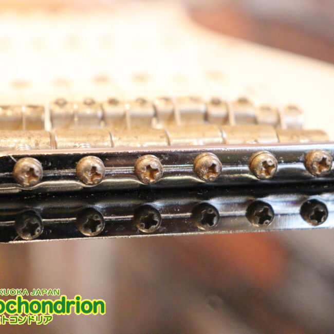 激レア！レフティーのTokai TSTです！