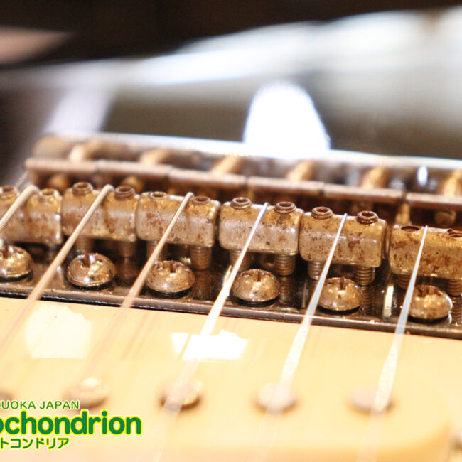 激レア！レフティーのTokai TSTです！