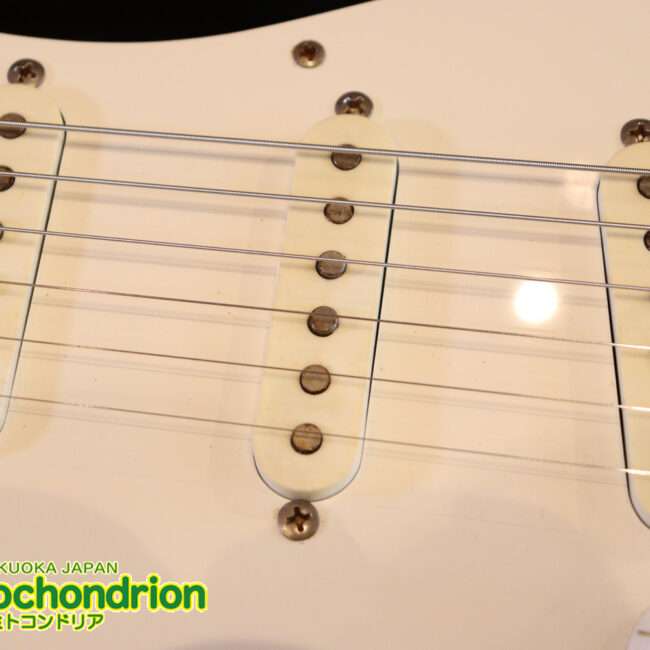 激レア！レフティーのTokai TSTです！