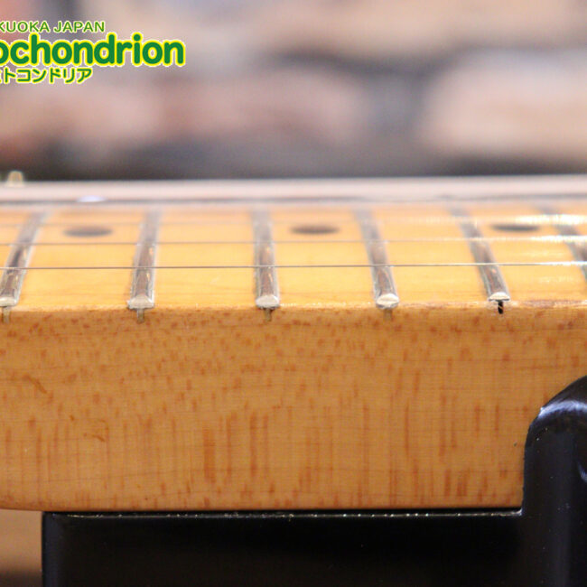 激レア！レフティーのTokai TSTです！