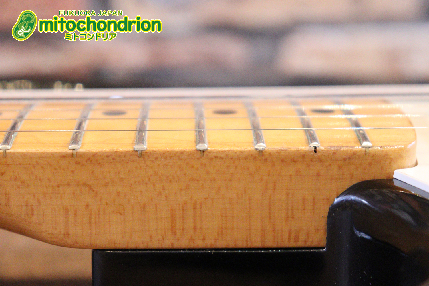 激レア！レフティーのTokai TSTです！