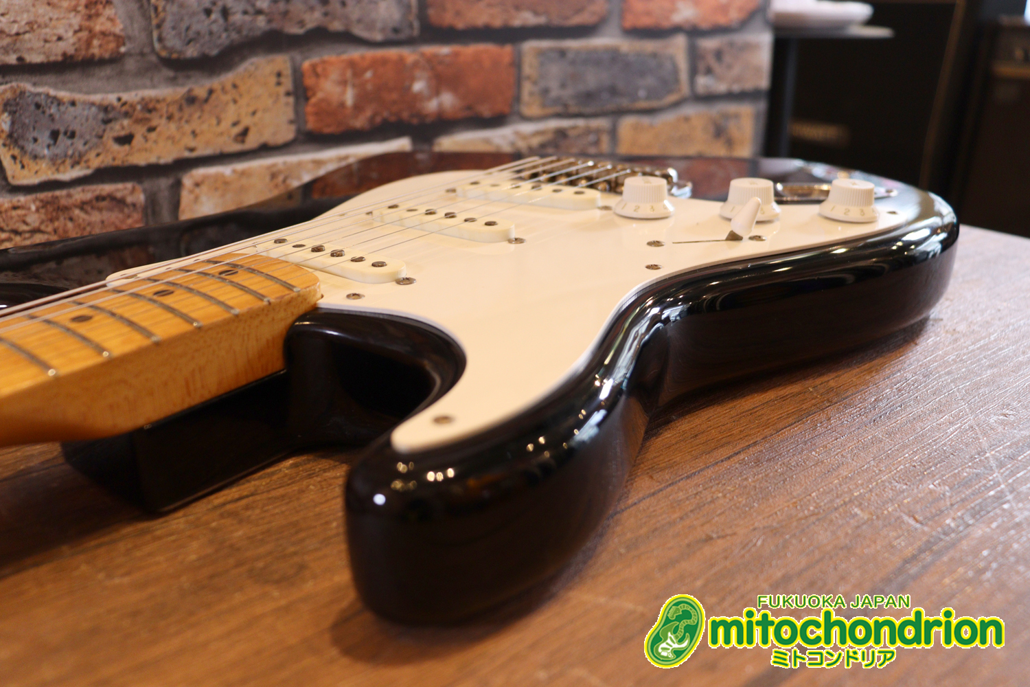 激レア！レフティーのTokai TSTです！