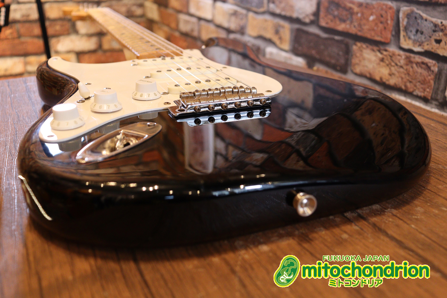 激レア！レフティーのTokai TSTです！