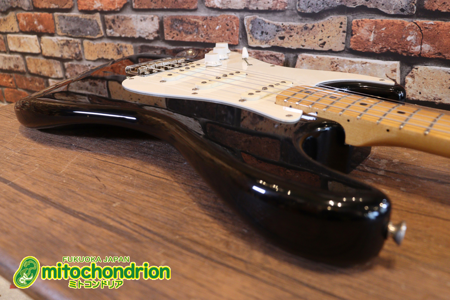 激レア！レフティーのTokai TSTです！